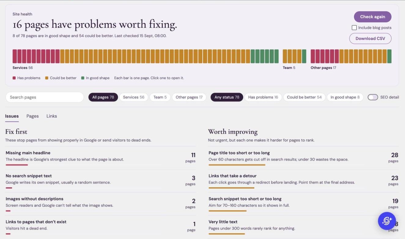 SEO Audit dashboard showing site health by page